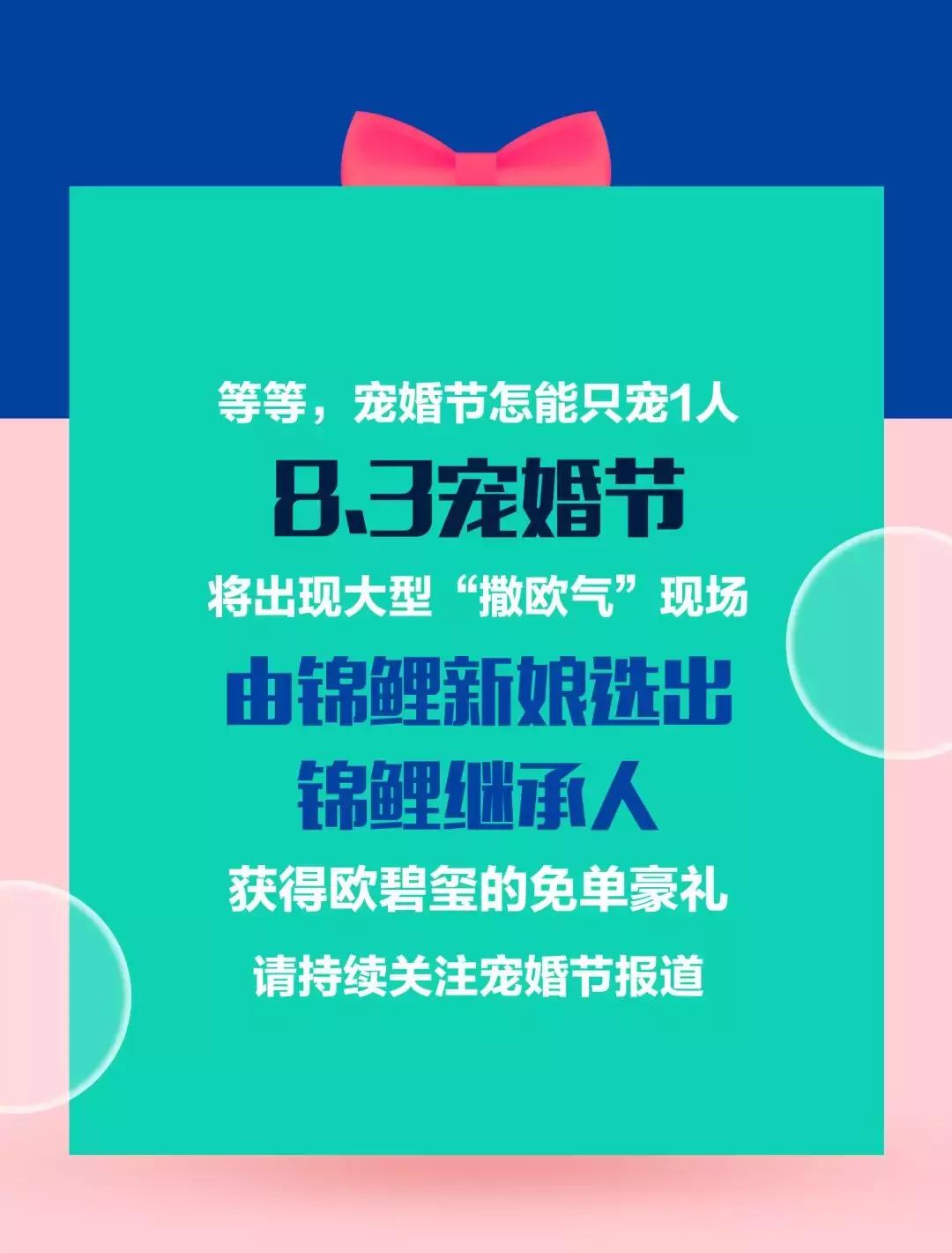 欧碧玺新派婚纱礼服,欧碧玺婚礼一站式