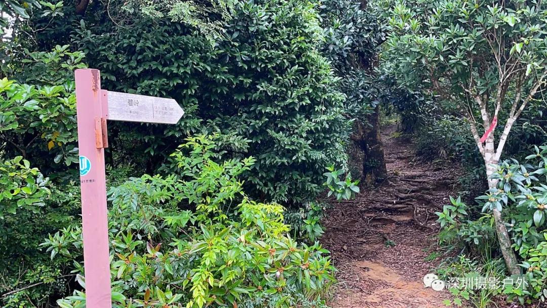 梅沙尖︱越梅沙尖→赏马峦瀑布