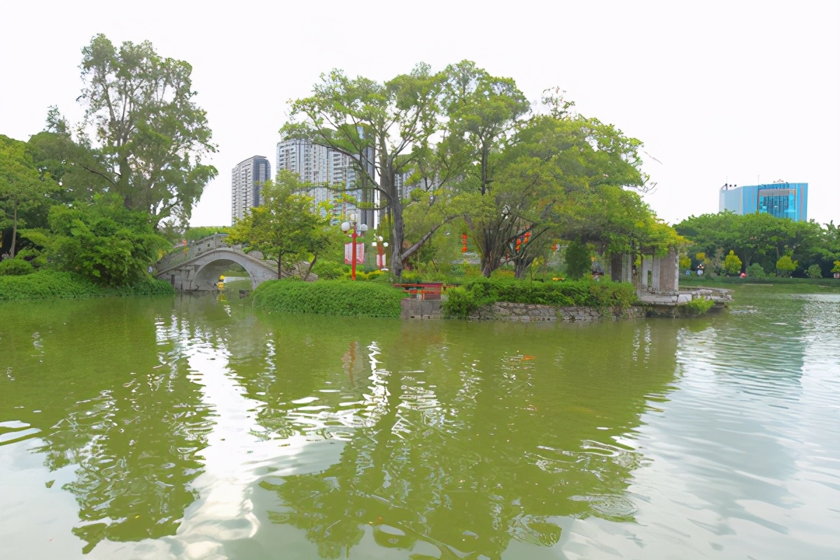 湿地公园菊展在哪,中山菊展一日游