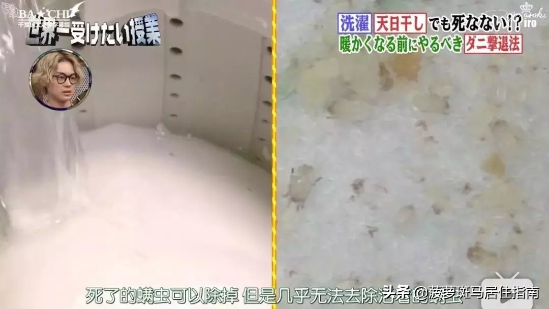 除螨仪只要一块钱有效去除螨虫,除螨神器让螨虫无处可逃