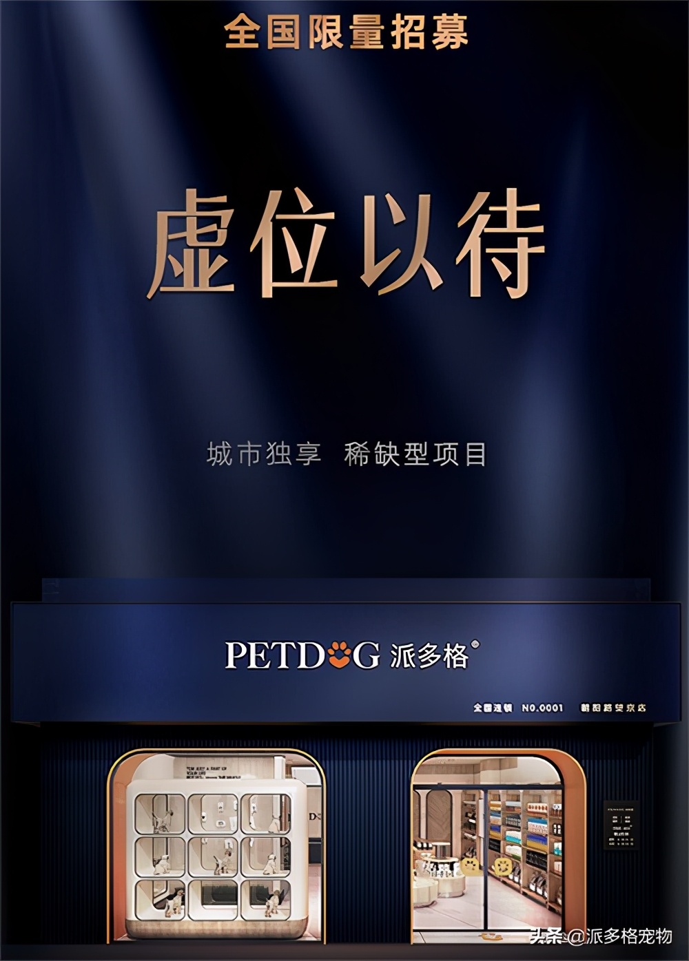 珠海斗门派多格宠物,派多格宠物珠海综合体