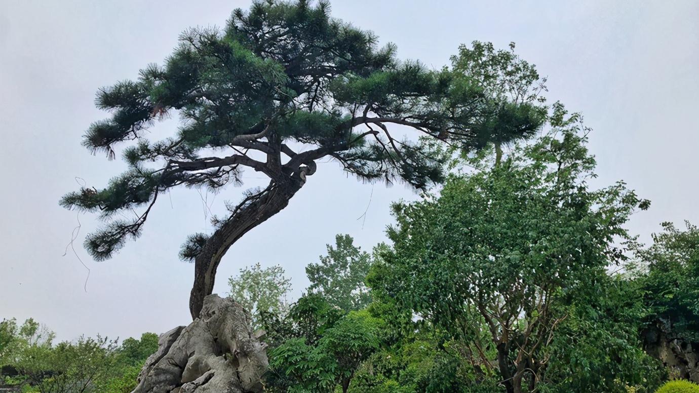 浙江省嘉兴市分为哪些区,浙江省嘉兴市区域划分