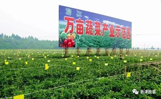 新津湿地公园最近美景,新津湿地公园景色