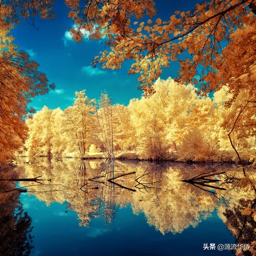 适合发朋友圈的一段话美文,适合发朋友圈的美文经典语录