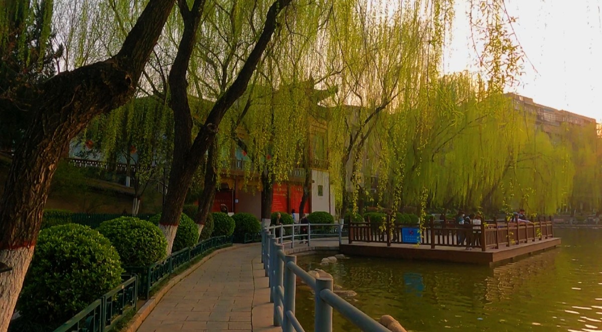 西安莲湖公园要门票吗,西安莲湖公园历史