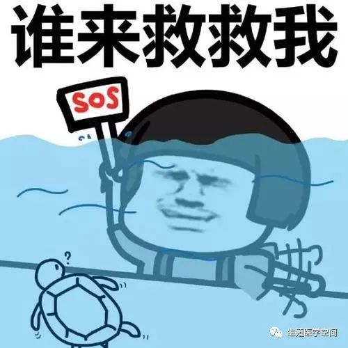30岁以上还能生育吗,30岁了打算生孩子要注意些什么