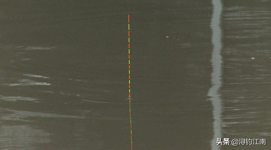 顶漂大幅顿口不中鱼什么原因,突然顶漂不中鱼怎样解决