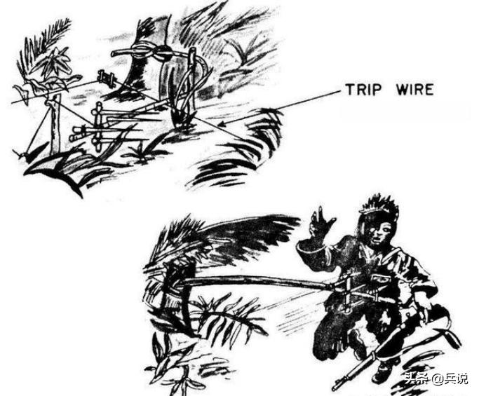 越军遍设竹尖陷阱，外加毒蛇，美军闻风丧胆，不敢收尸