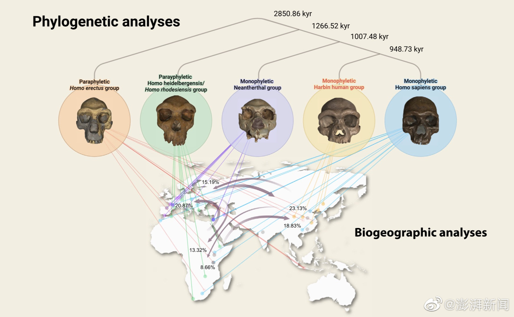 新种族龙人,新人类物种的发现