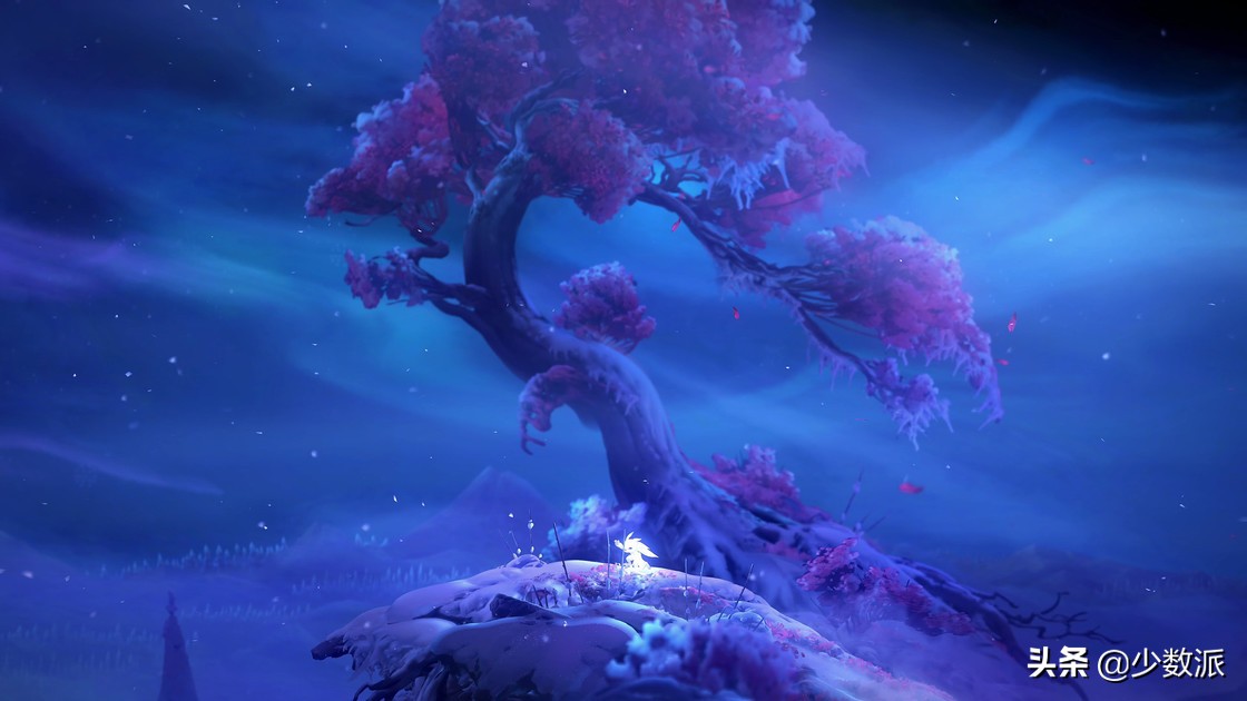 黑5值得买,黑五值得入手吗