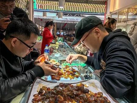 科学家找到的残缺的恐龙化石,灭绝物种缅甸琥珀