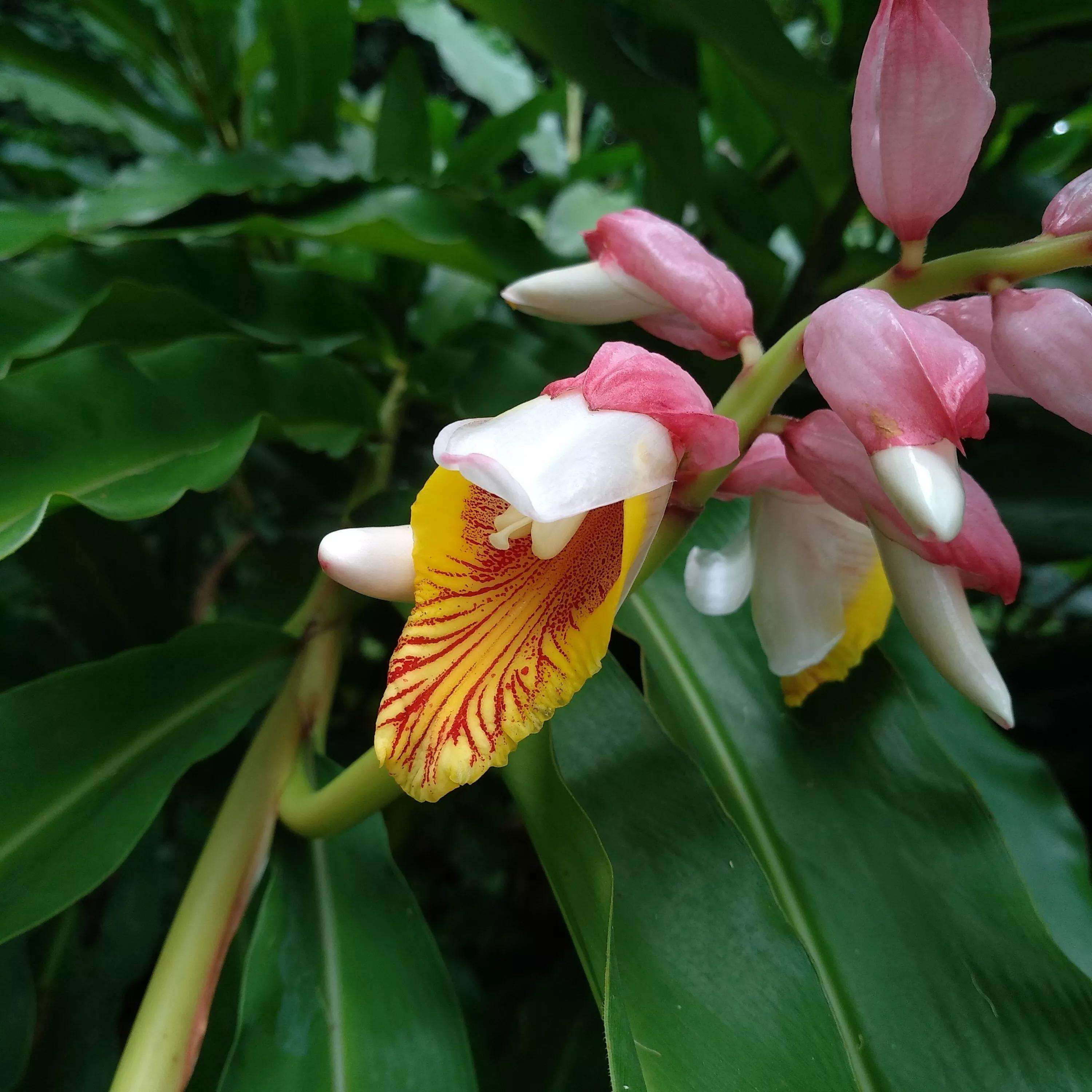 高考后想学临床医学,高考后想学中医