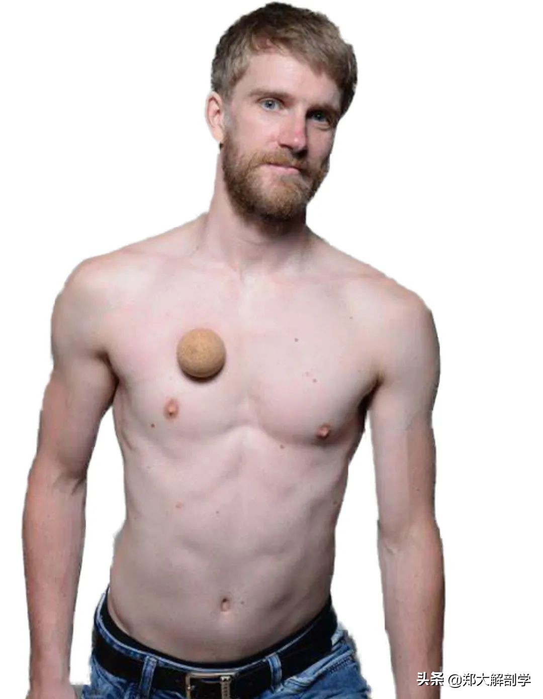 肩关节水平屈可以锻炼胸大肌吗,肩关节运动锻炼胸大肌