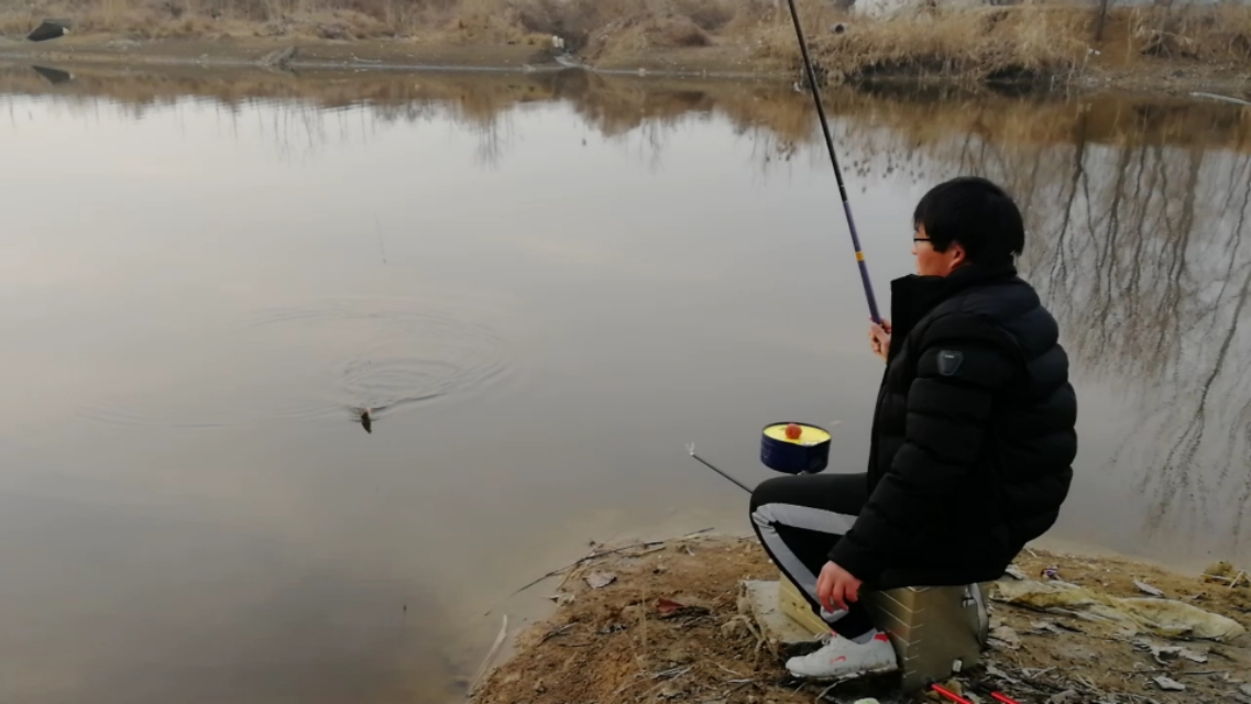 喜欢钓鲫鱼,手感好的鲫鱼鱼竿品牌