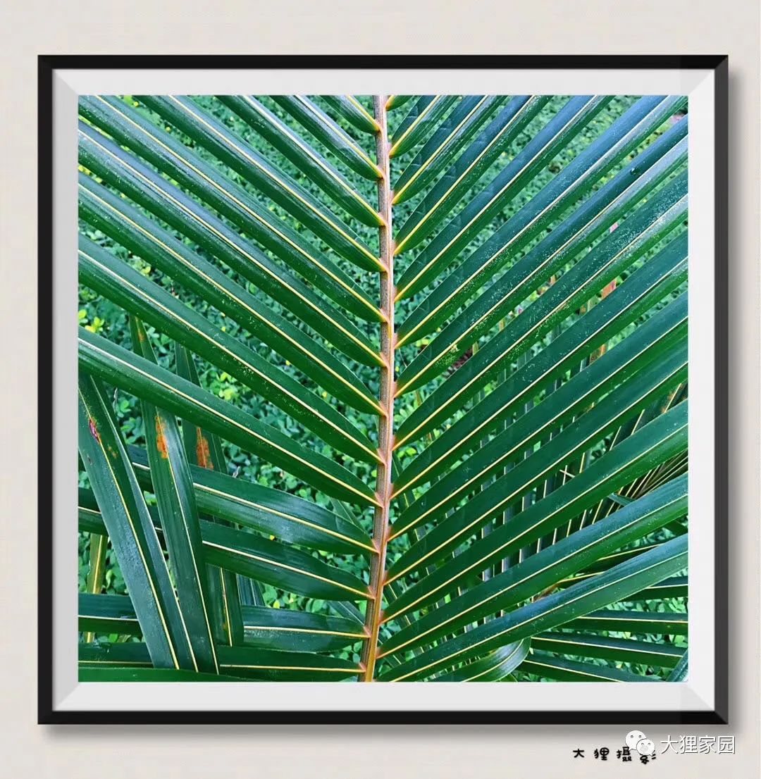 带娃的日子有滋有味,为什么别人的日子过得有滋有味儿