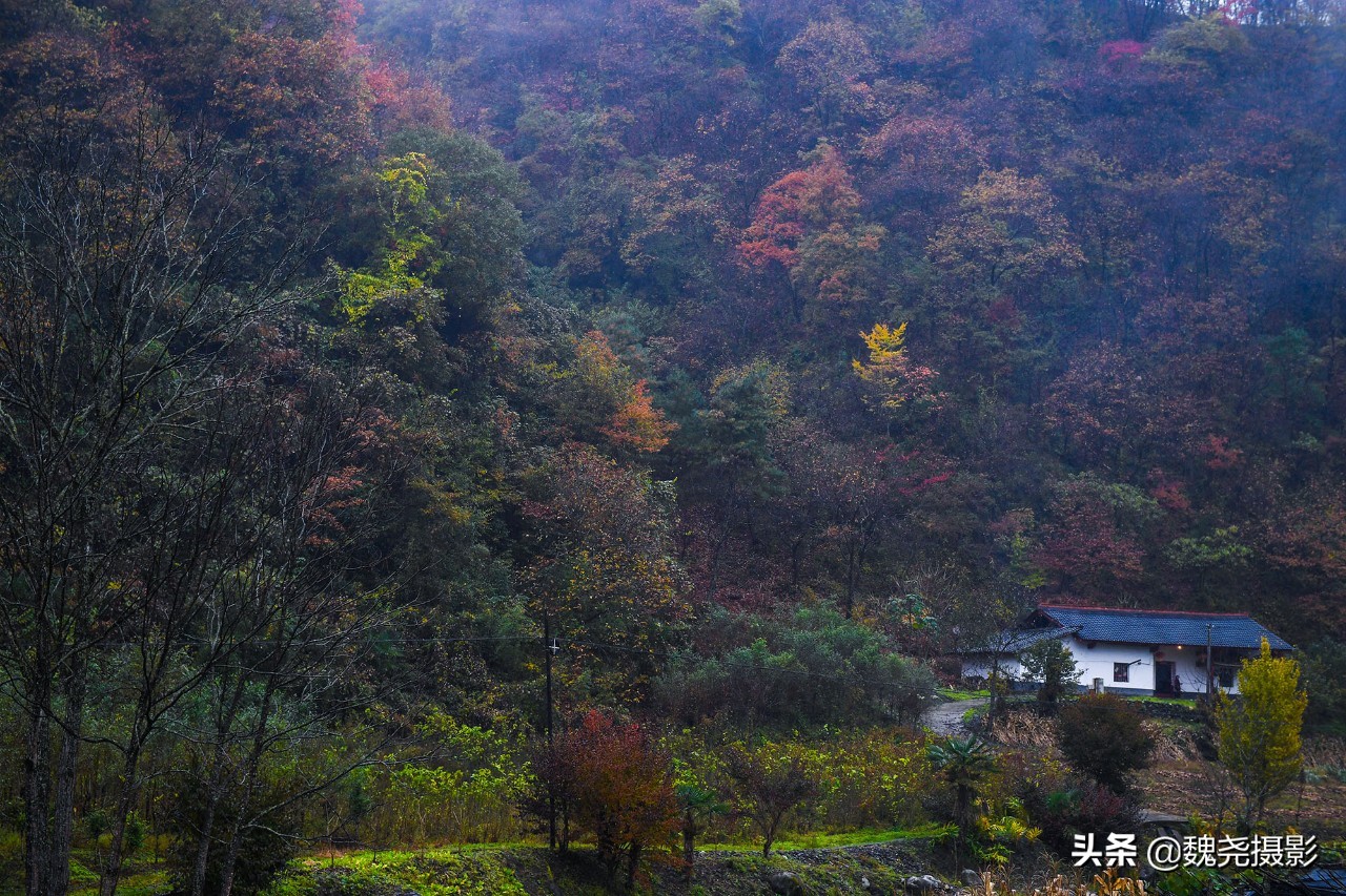 留坝秦岭之夜,留坝秦岭森林公园