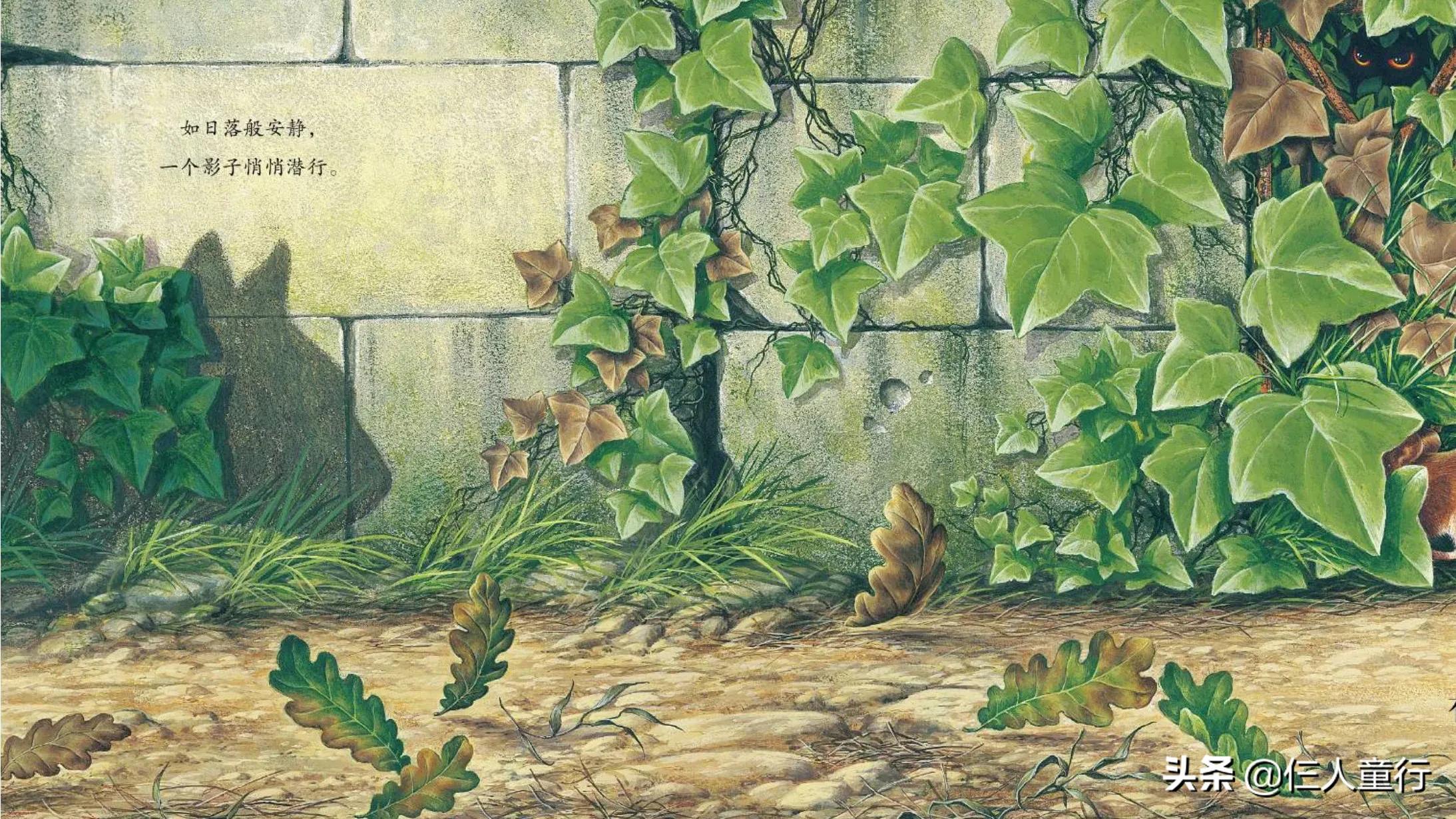 追逐与童趣｜精读世界经典图画书《老鼠，小心》