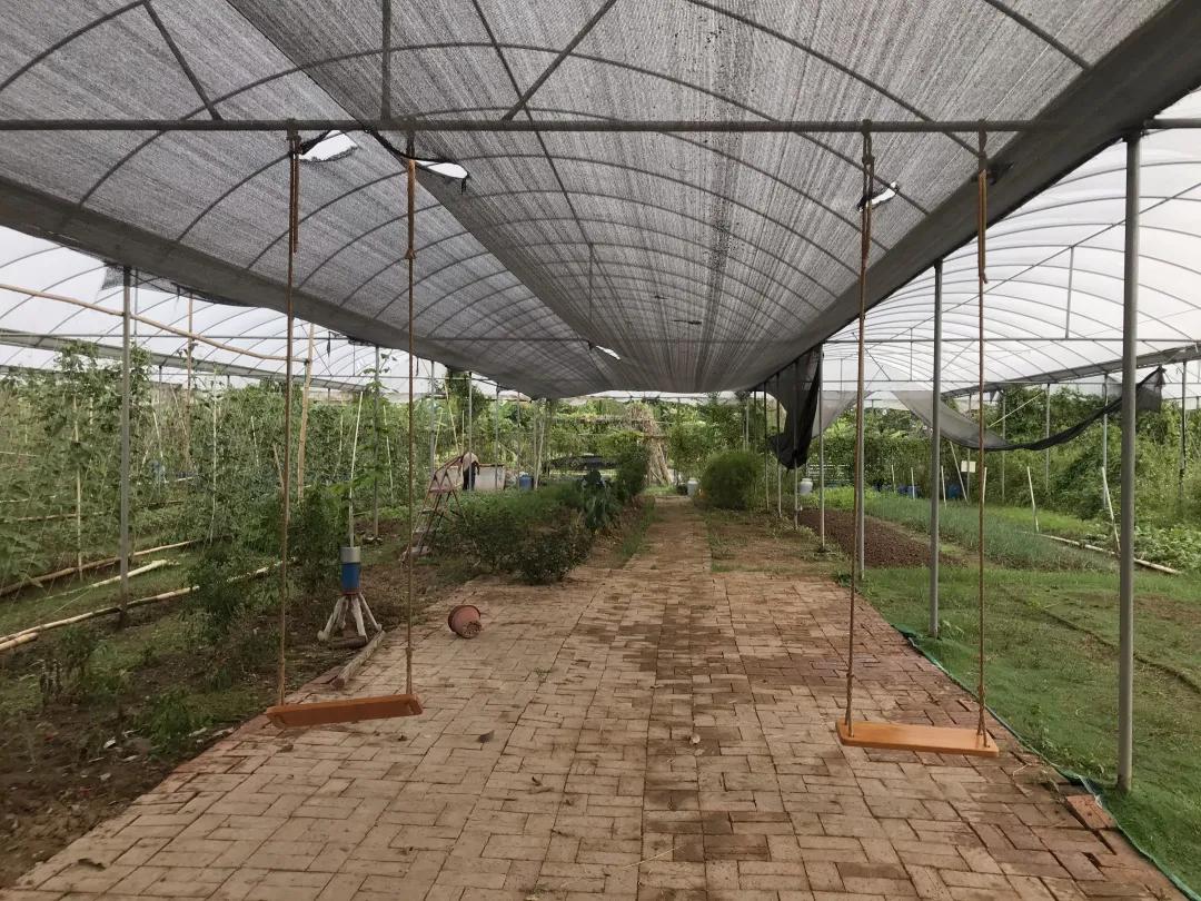 人气最旺的亲子农场,世外桃源亲子农场探店