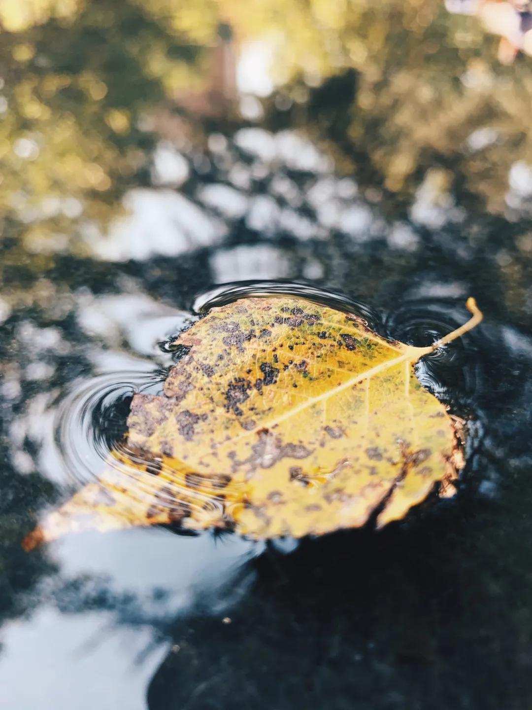 iphone13相机怎么调拍照最好,iphone12pro相机设置