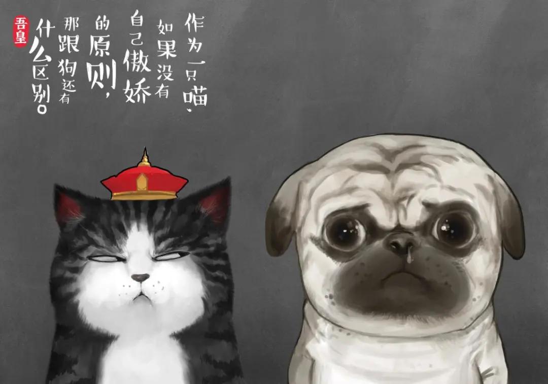 治愈3000万人的不开心，圈粉名人大咖，他从默默无闻到火遍全网