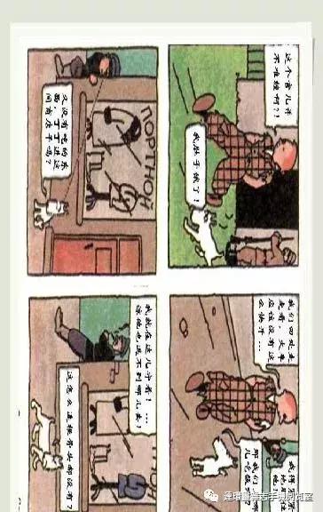 丁丁和丁丁历险记论文,丁丁历险记丁丁的服装