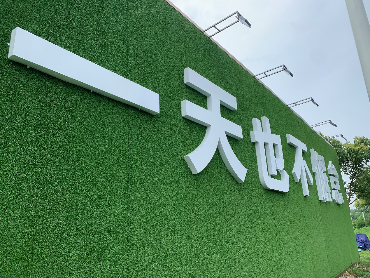 探访新桥智能电动汽车产业园，惊叹合肥的崛起，绝不是靠“赌”！