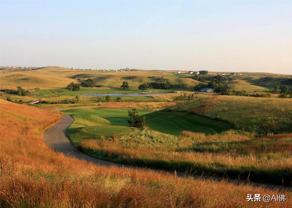 美国圆石滩高尔夫球场,美国高尔夫球场数量