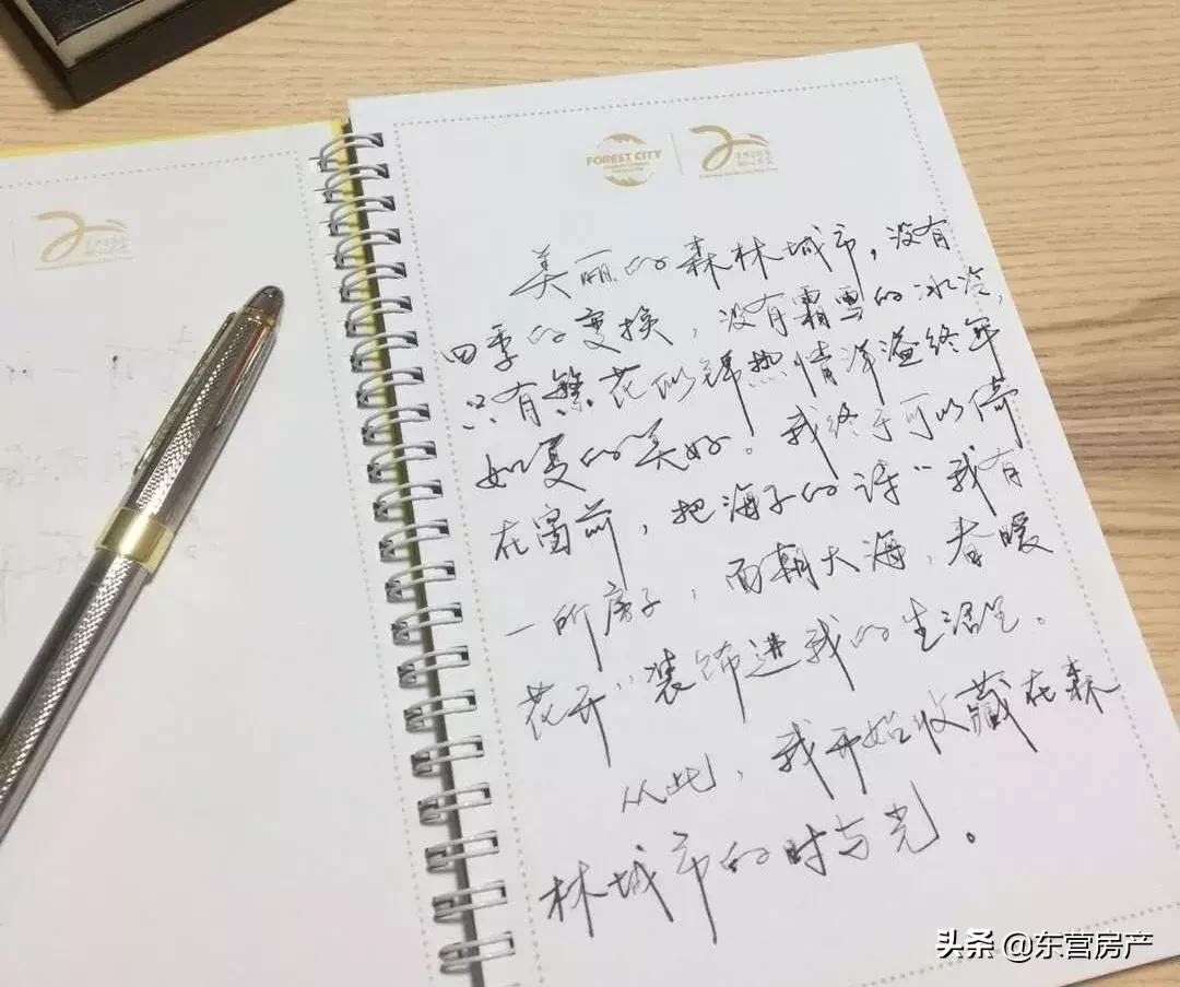 碧桂园森林城市与海花岛,碧桂园城市花园格局