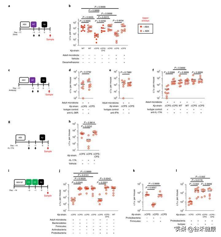 探索微生物奥秘演讲,微生物菌剂探索