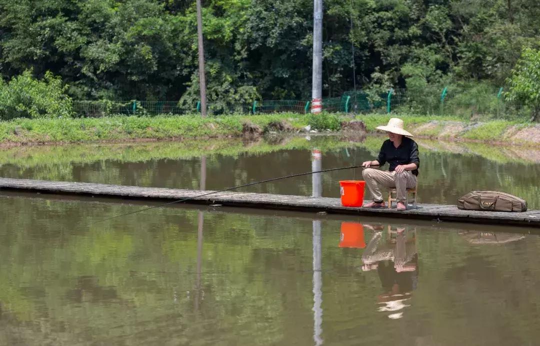 筑梦8年,承包1600亩土地,打造亲子版唐顿庄园,体验庄主生活