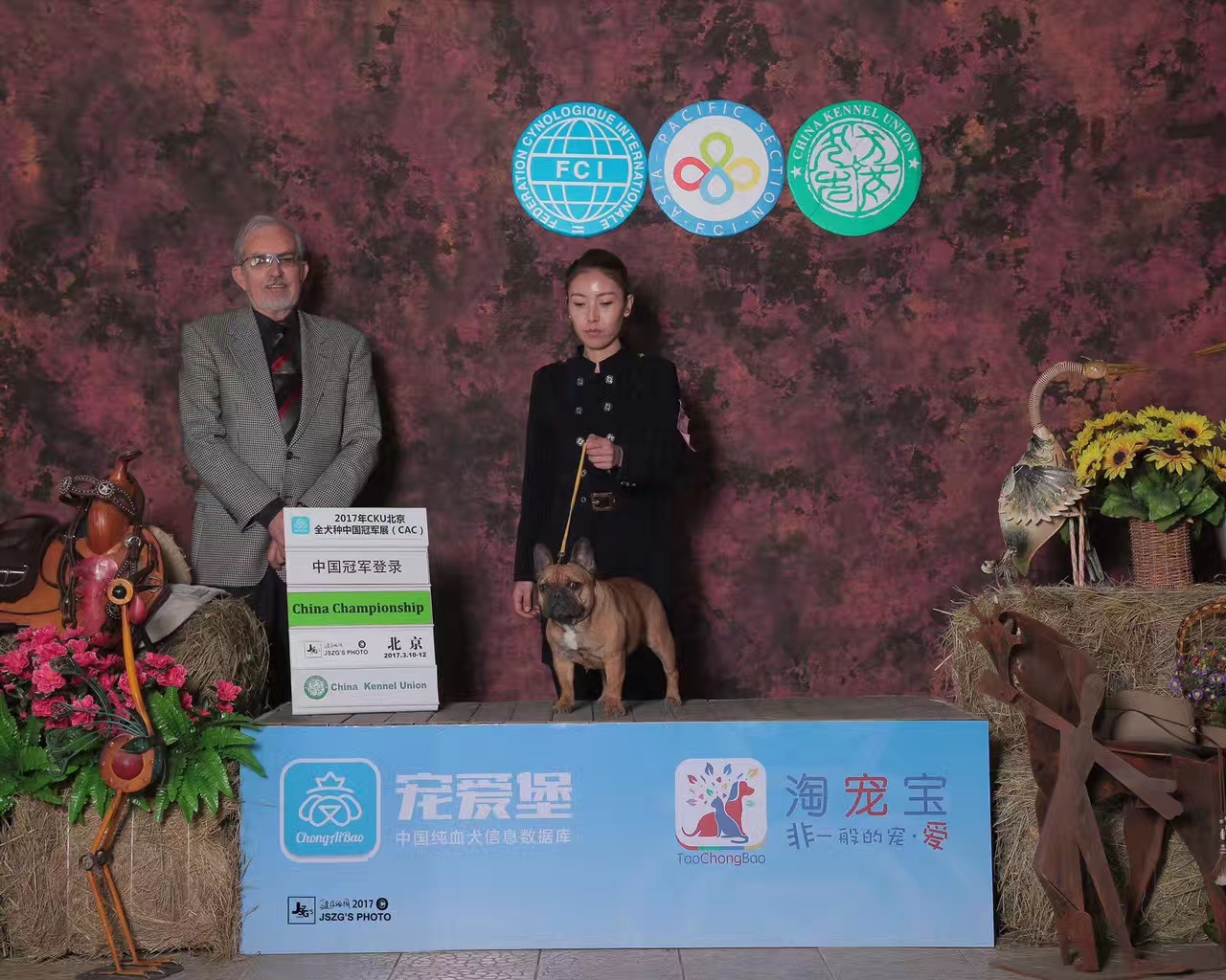 中国法斗犬舍,中国知名法斗犬舍