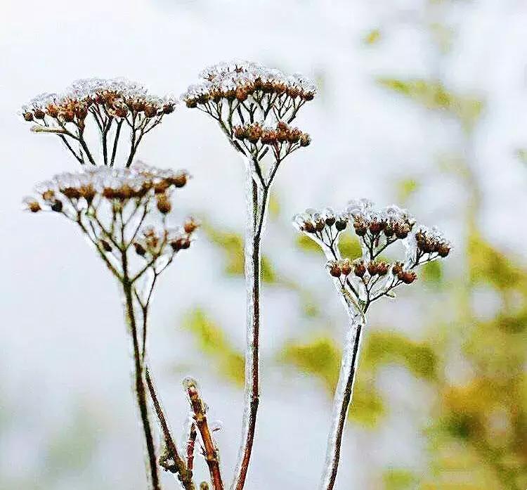 贵阳云雾山云海,贵阳云雾山雾凇旅游攻略