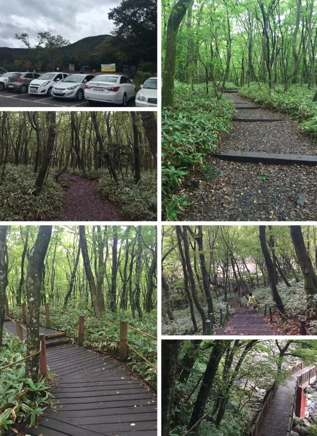 韩国济州岛自由行旅行团,济州岛韩国自由行包车