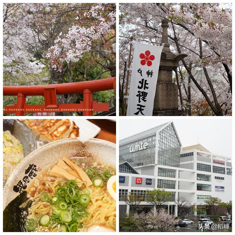 豪华邮轮日本5天4夜价格深圳出发,豪华邮轮去日本班次和价格