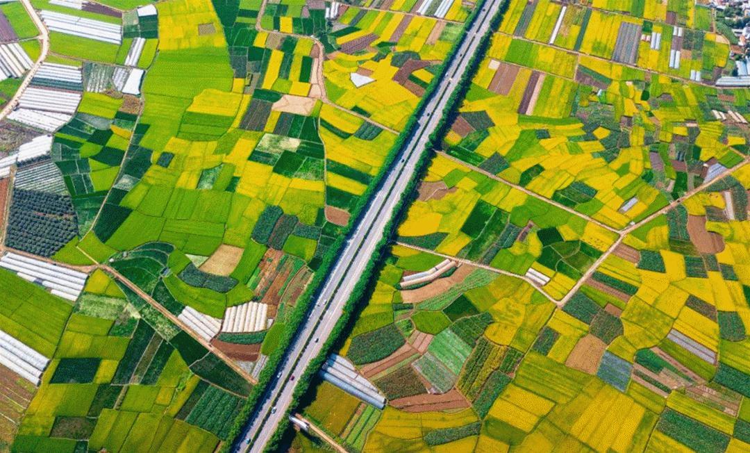 红河州发起脱贫攻坚总攻战,红河州决战决胜脱贫攻坚