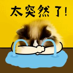 老是担心自己有乳腺癌怎么办,乳腺癌患者妇科有炎症怎么办