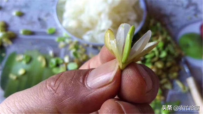 曾在农村常见，30年前被大量砍伐，今一斤260元，受女人喜爱