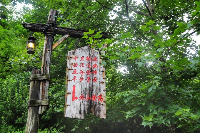 梅州采茶,梅州采茶体验