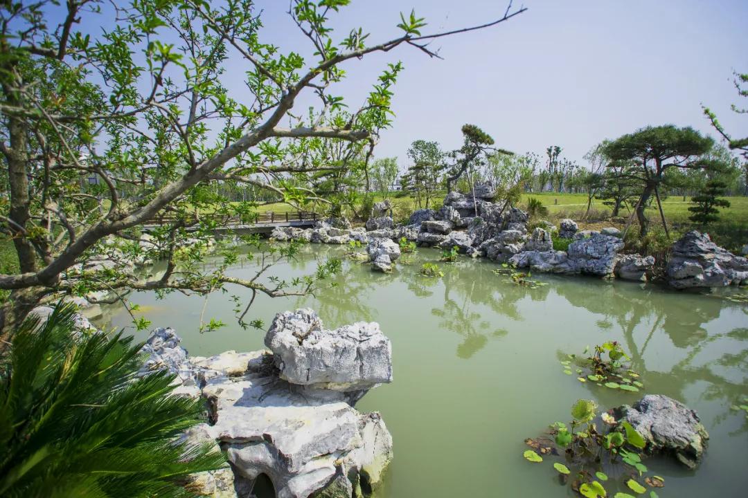 盐龙公园健身项目有哪些,盐龙体育公园室内