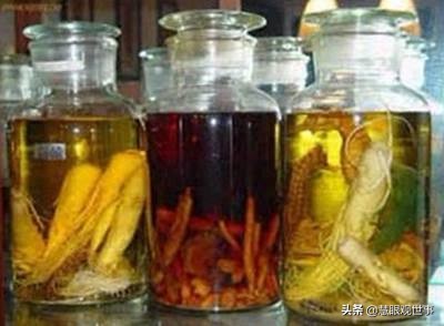 侯卫东官场笔记曲子,侯卫东官场杂记小说