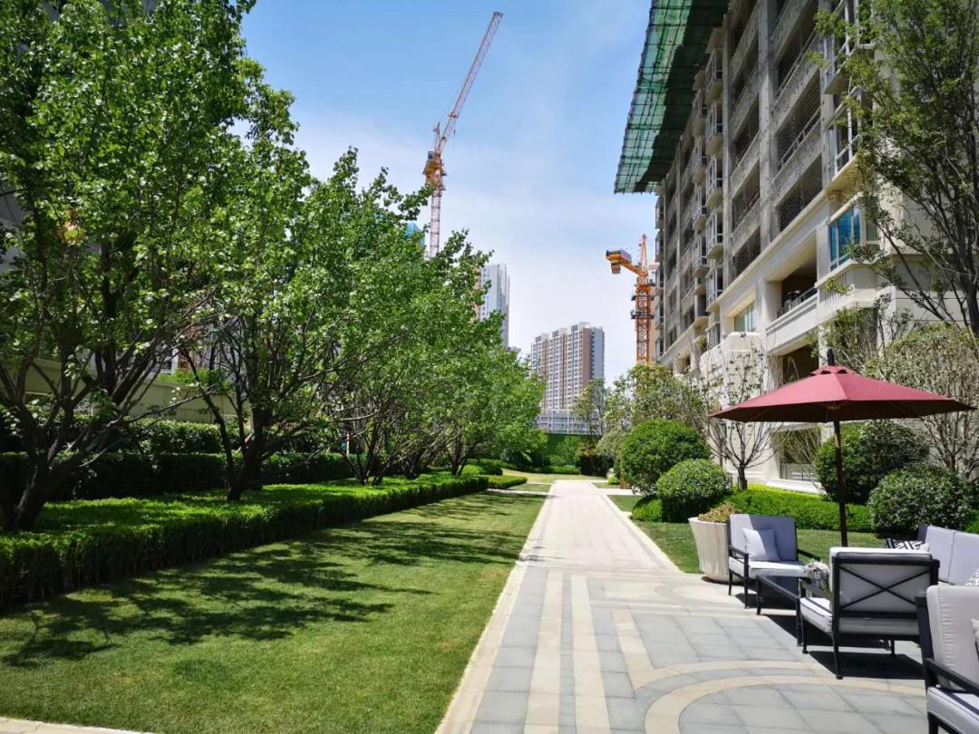 做不到这六点很难做好管理,郑州买房刚需房和改善房