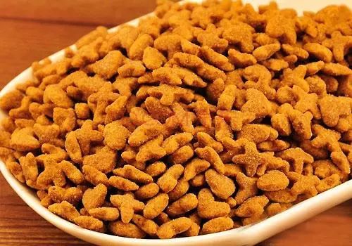 幼猫打疫苗和驱虫可以同时进行吗,猫猫驱虫和打疫苗可以同时进行吗