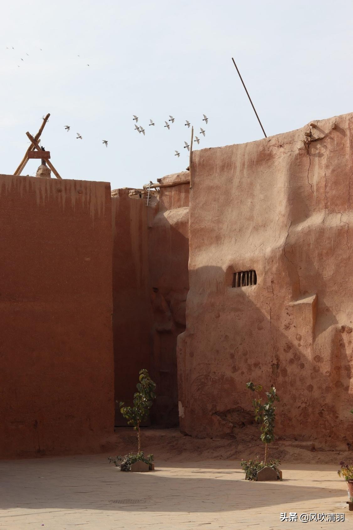 真实新疆人的生活视频,新疆人的生活好精致