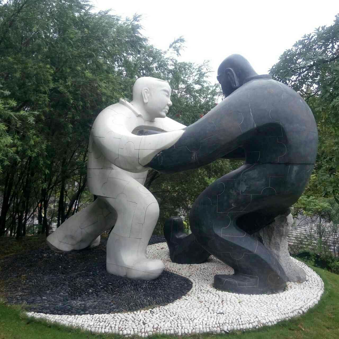 功能性力量训练有哪些方法,小强教运动康复治疗