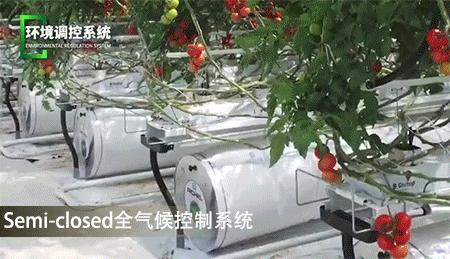 俯瞰珠海全景最佳地点,珠海这个地方好吗