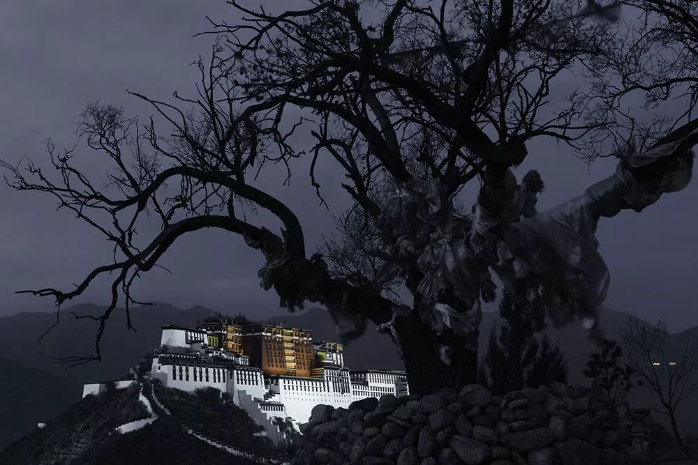 王员外图片,王员外摄影剪辑