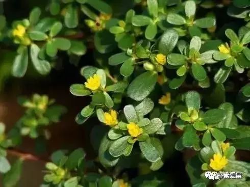 二十四节气只有小满却没有大满,24节气唯有小满之后无大满