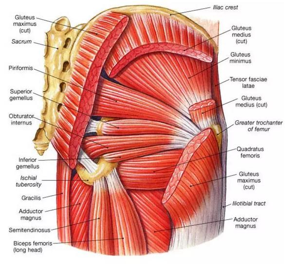 开胯，到底开的是啥玩意？