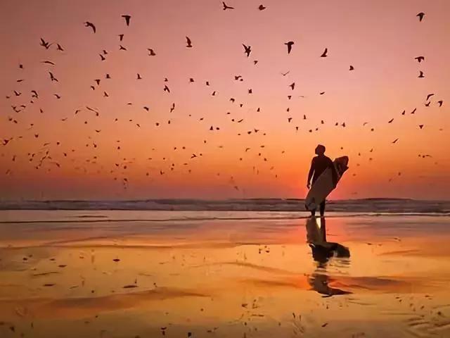 世界十大英文经典广告语,英语广告词经典语录