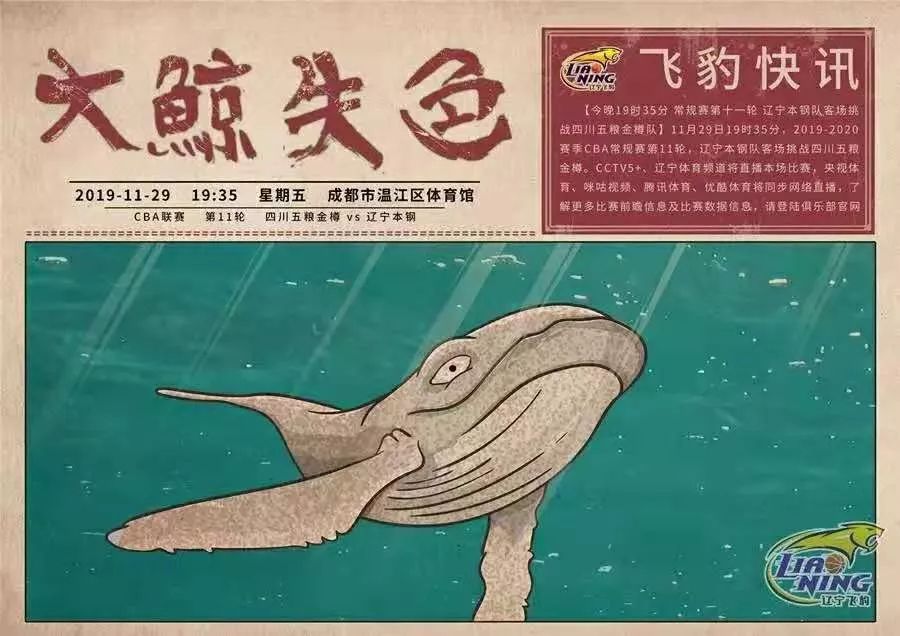 cba球队为啥都是广告,cba被篮球砸